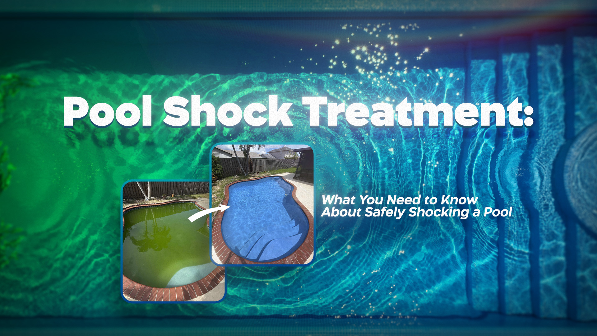 Types of Pool Algae and How to Get Rid of Them Fast