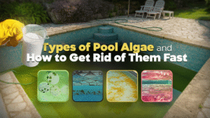 Types of Pool Algae and How to Get Rid of Them Fast