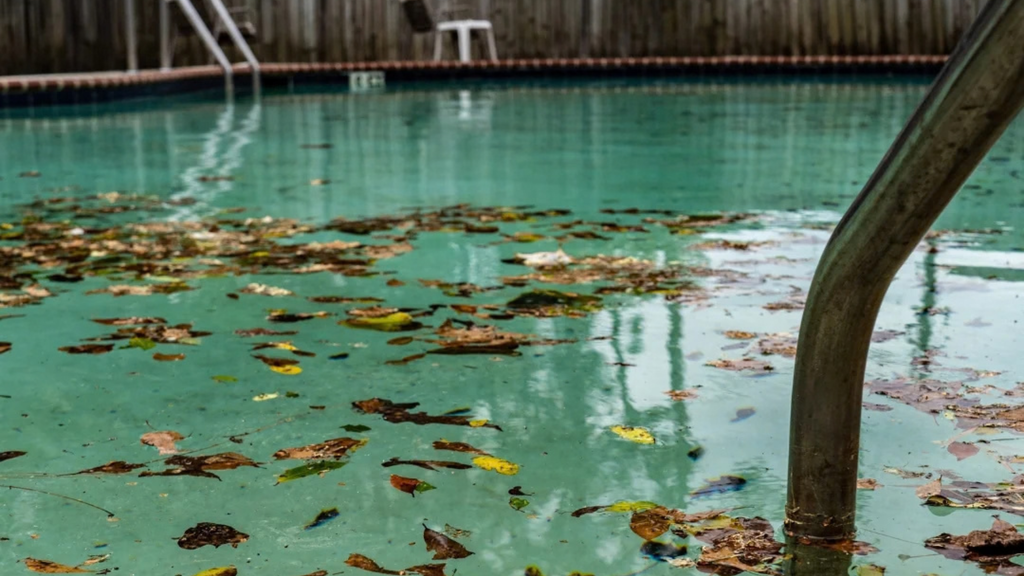 Storm debris from a South Florida residential pool after a hurricane