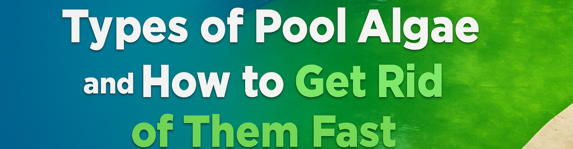 Types of Pool Algae and How to Get Rid of Them Fast